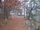 forêt de Rambouillet, zone rocheuse
